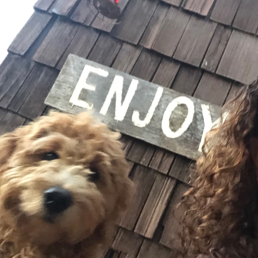 Meet your Posher, Jennie